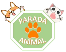 Clínica veterinária e Estética Animal Clínica veterinária e Estética Animal